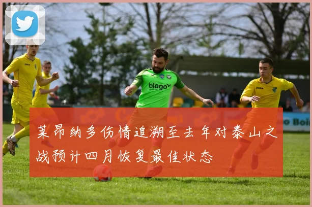 莱昂纳多伤情追溯至去年对泰山之战预计四月恢复最佳状态