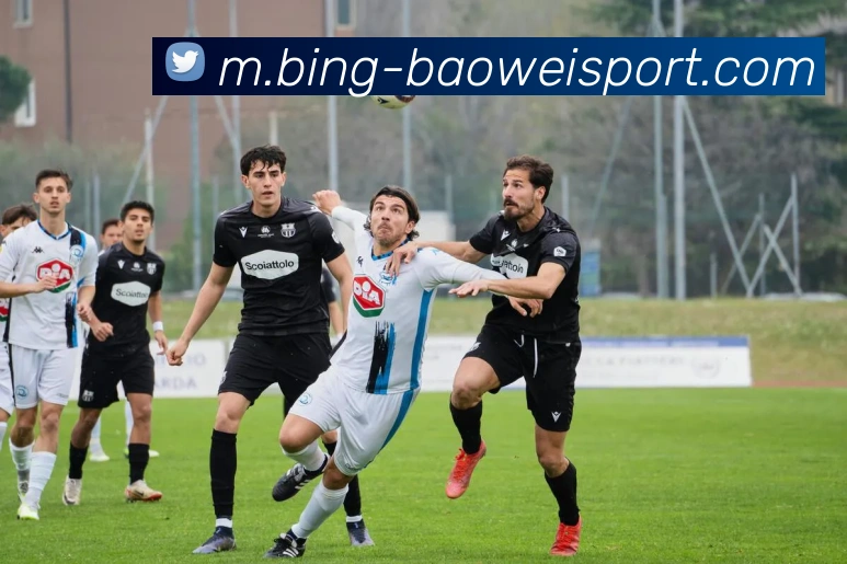 宝威体育发展历程